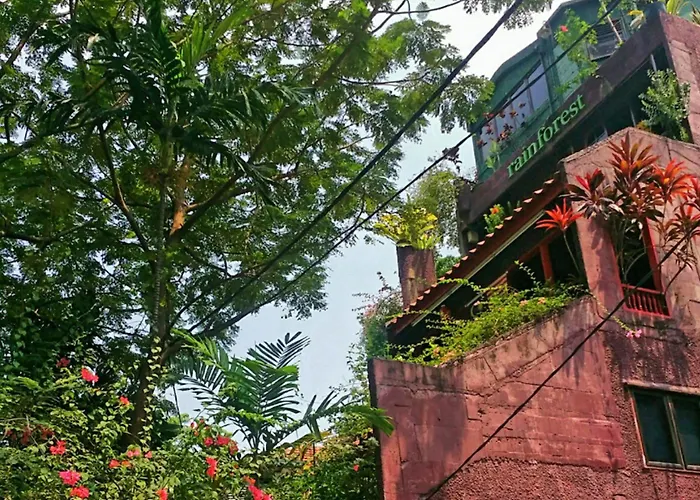 Rainforest Bed & Breakfast