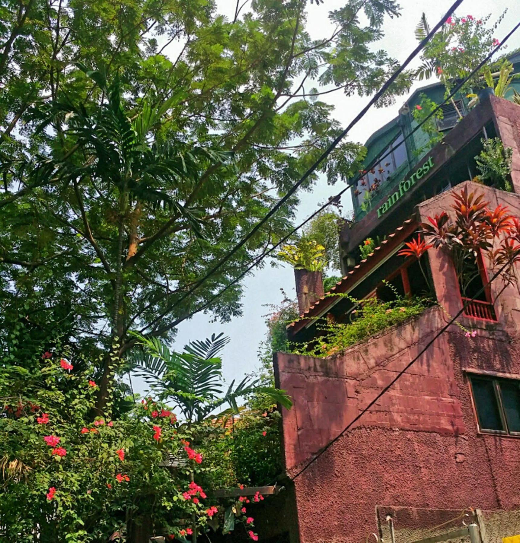 Rainforest * Kuala Lumpur