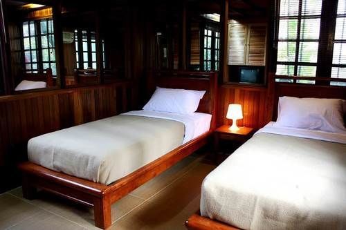 Rainforest Hostel *