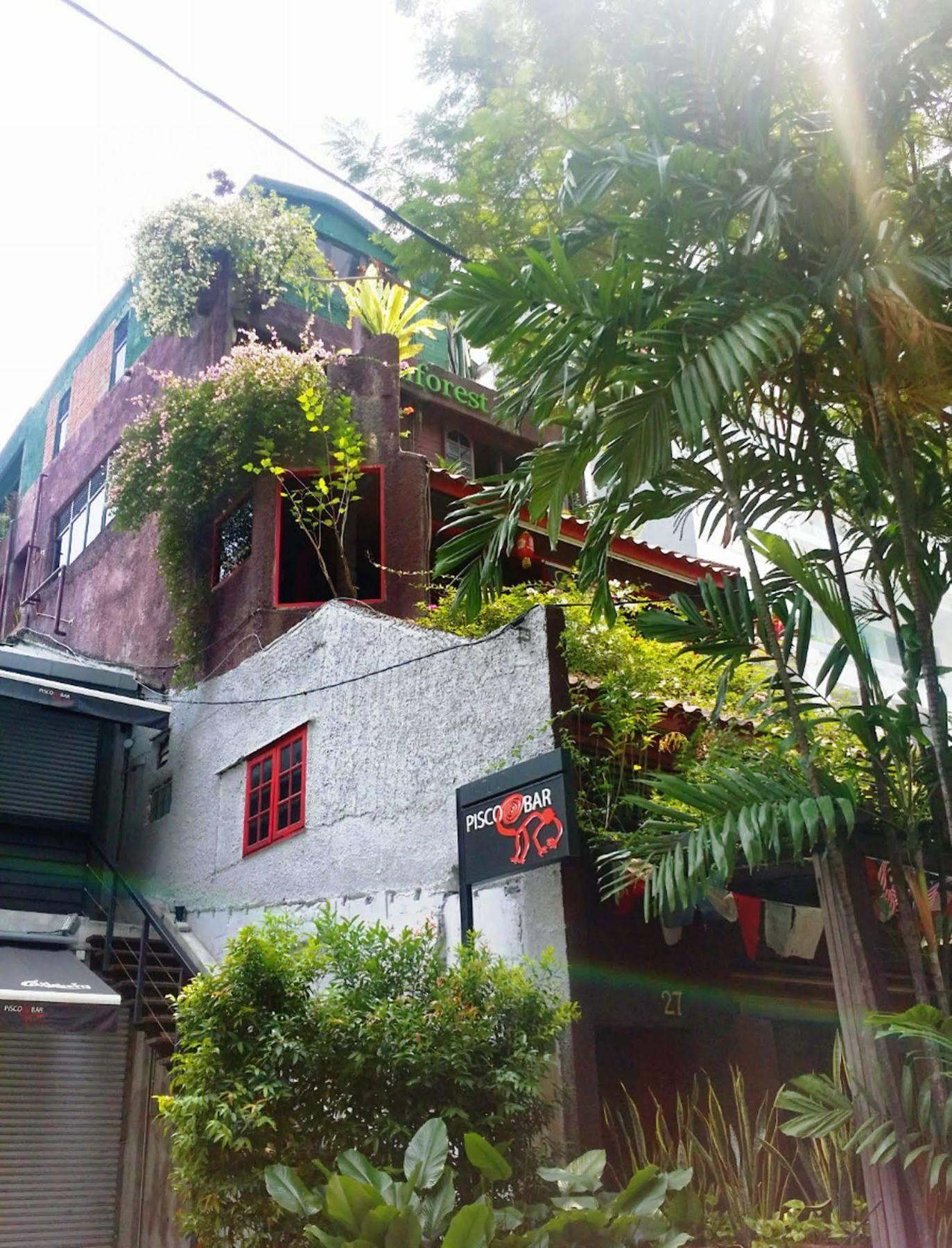 Rainforest Hostel