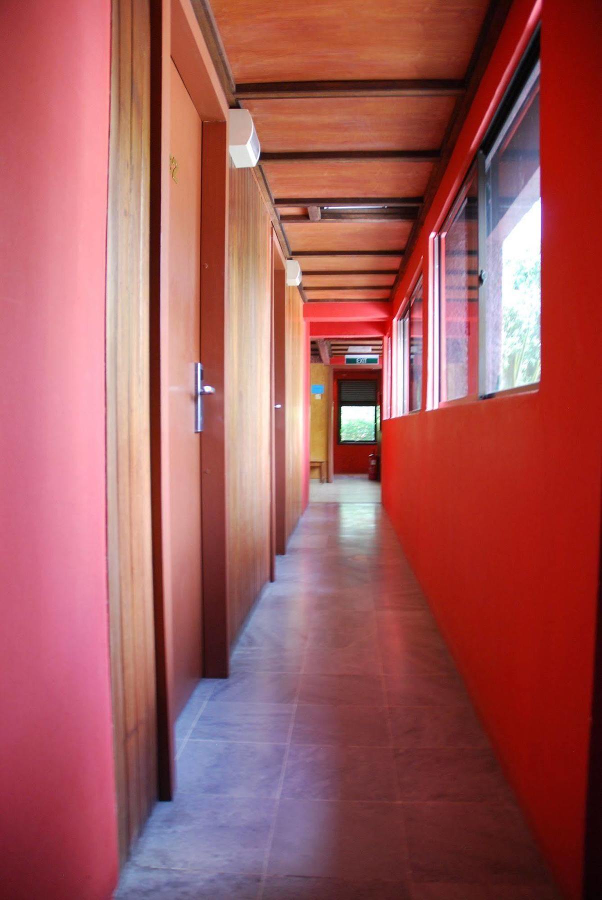 Hostel Rainforest